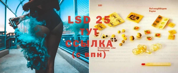 прущие крисы Инта
