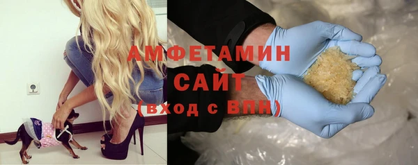 apvp Каменка