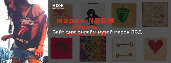 дмт Инсар