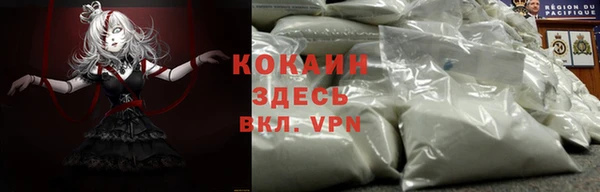 соль ск Зеленодольск