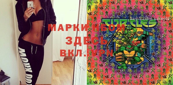 дмт Инсар