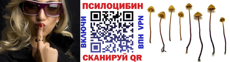 Псилоцибиновые грибы MAGIC MUSHROOMS  маркетплейс клад  Кизел 