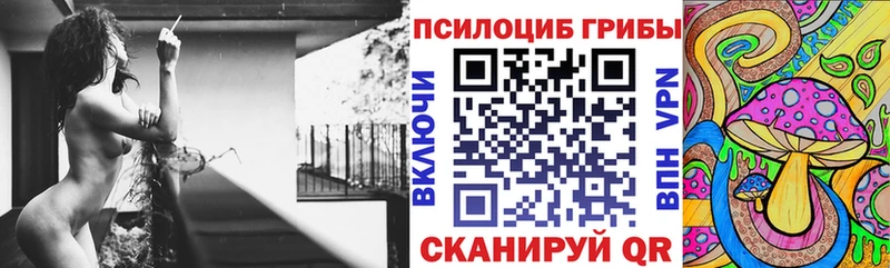 Галлюциногенные грибы MAGIC MUSHROOMS Кизел